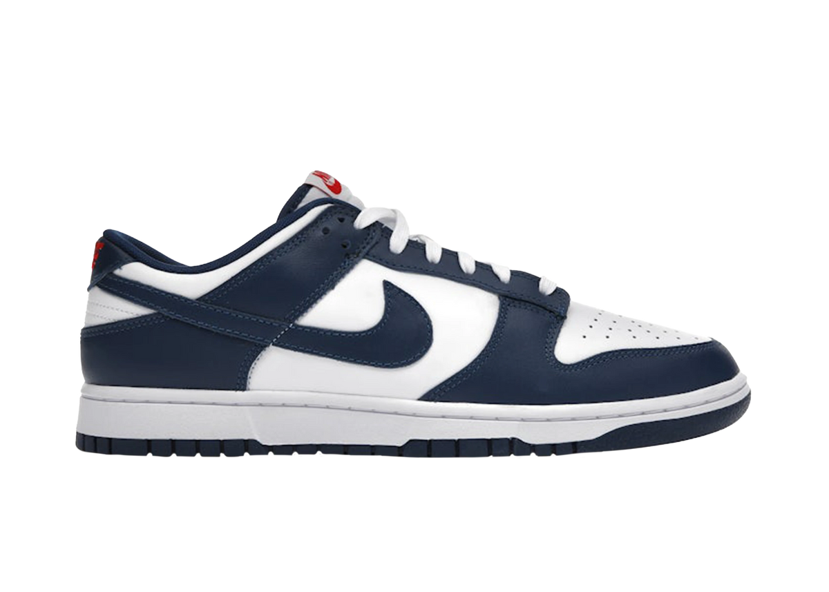 Nike Dunk Low Valerian Blue