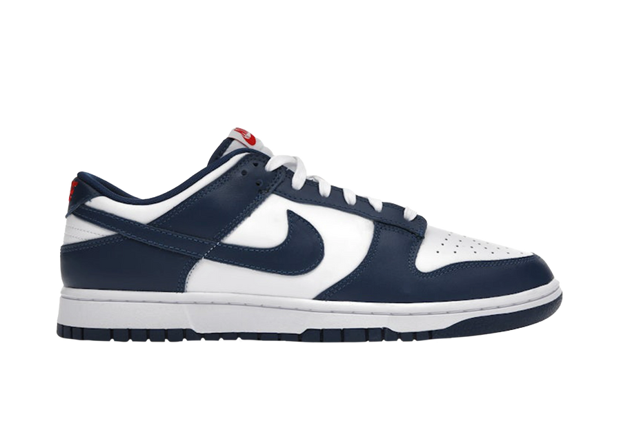 Nike Dunk Low Valerian Blue